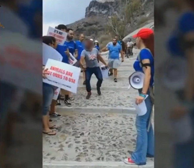 Σαντορίνη: Πλάκωσαν στο ξύλο φιλόζωους στην καλντέρα για τα γαϊδουράκια (βίντεο)